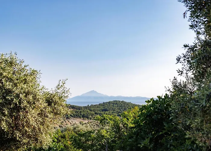 Helia Seasons 아파트